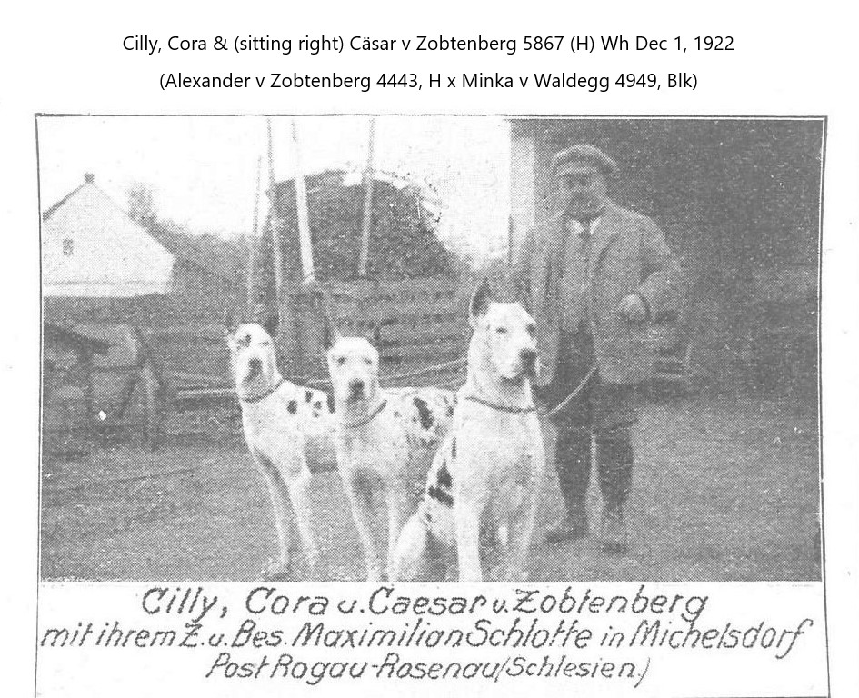 Cilly Cora Caesar v Zobtenberg